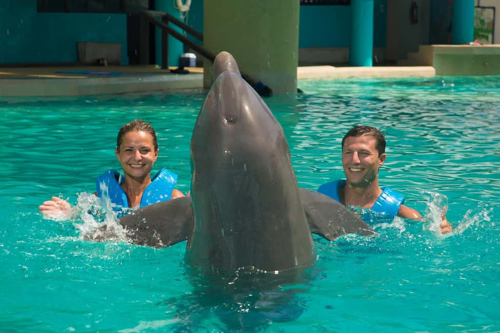 Cancun: Interactive Aquarium Ticket and Swim with Dolphins - Aquarium admission + dolphin presentation: Why the warm-up is worth it