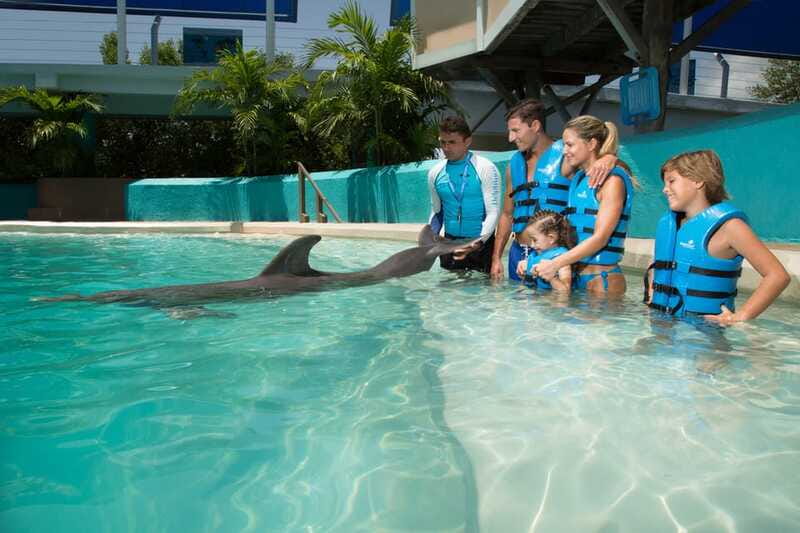 Cancun: Interactive Aquarium Ticket and Swim with Dolphins - Practical tips so your 45 minutes run smoothly