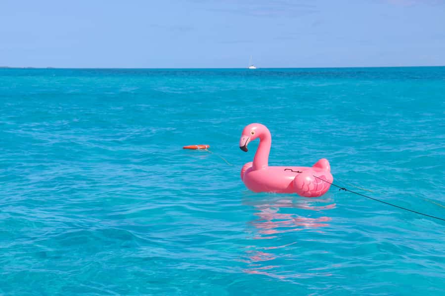Cancun: Isla Mujeres Full Day Dancer Cruise - Isla Mujeres in two hours: shopping, viewpoints, and golf cart decisions