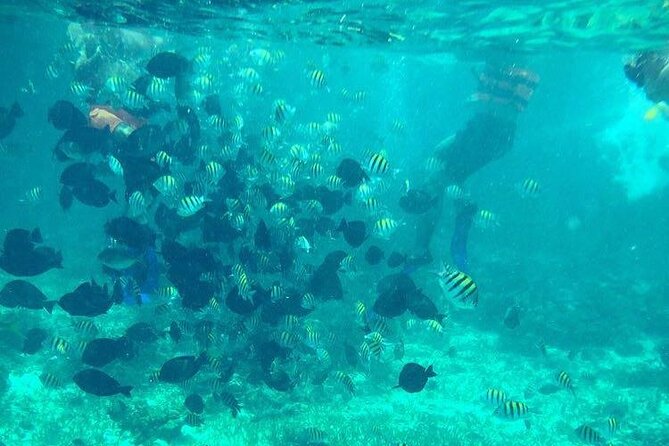 Cancun Jetski and Snorkel Adventure - Price and Value: What $75 Covers (and What It Doesn’t)
