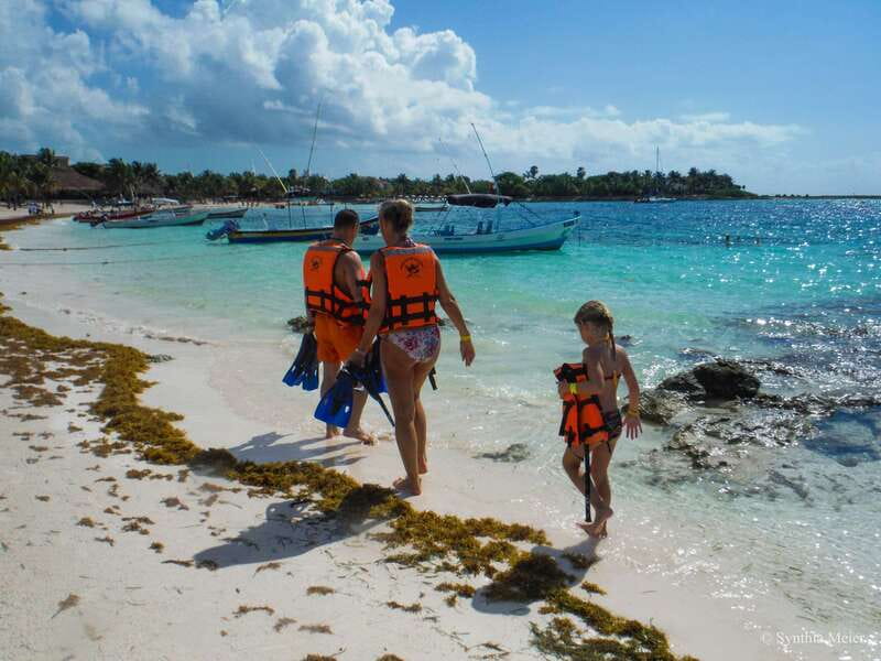 Cancun: Marine Turtle Observation in Akumal - Timing and transfers: what the 5 hours feel like in real life