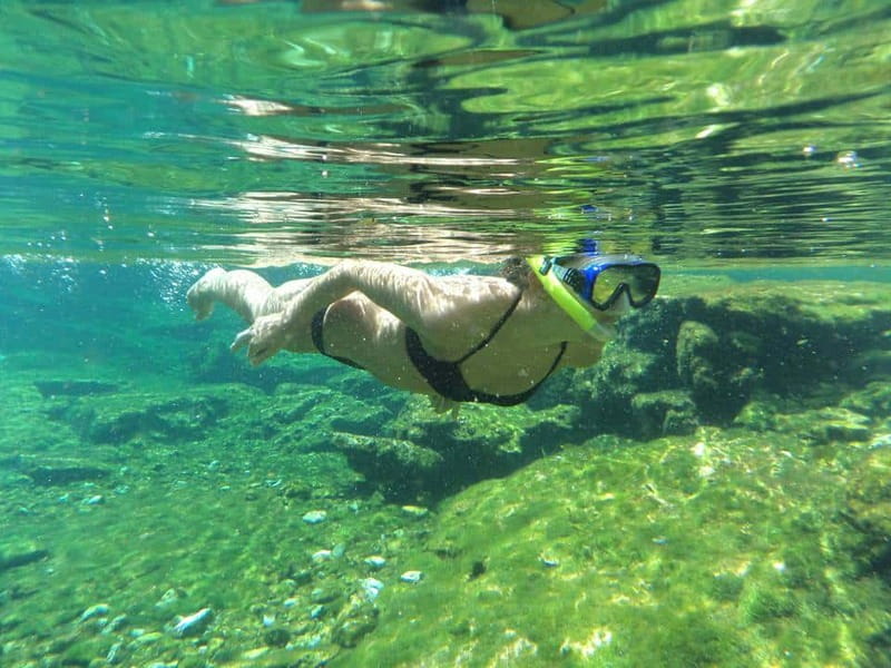Cancun: Marine Turtle Observation in Akumal - Snorkeling skills, safety, and the gear you get