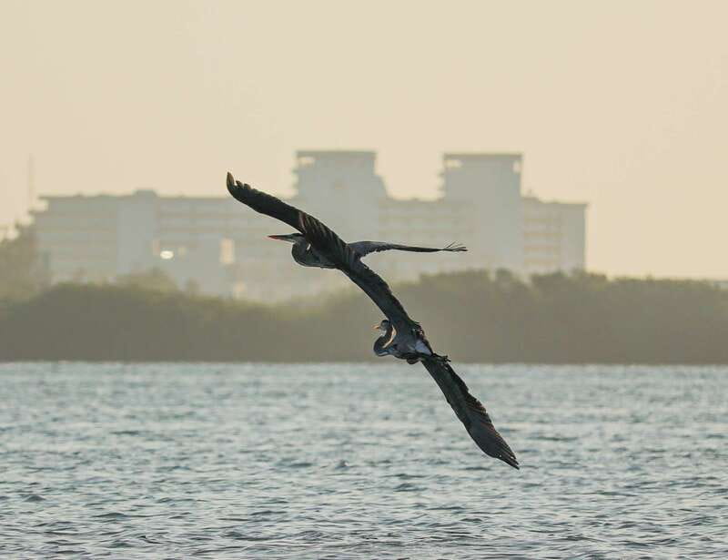 Cancun: Morning Kayak Adventure - The 15-Minute Break and Photo Stop: Reset Without Losing the Morning