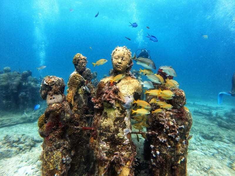 Cancun: Musa Underwater Museum & Reef Discover Scuba Diving - Reef session: rays, turtles, and the slow magic of watching