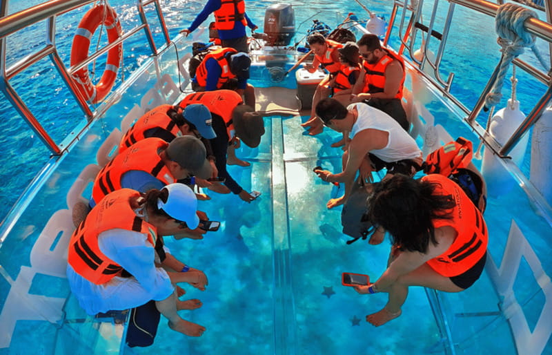 Cancún: Nichupté Lagoon Transparent Boat Tour with Drinks - Price and Value: Is $40 Worth It in Cancun?