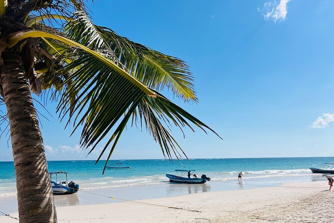 Cancun Private Driver - Why a Cancun Private Driver Beats Random Tour Buses