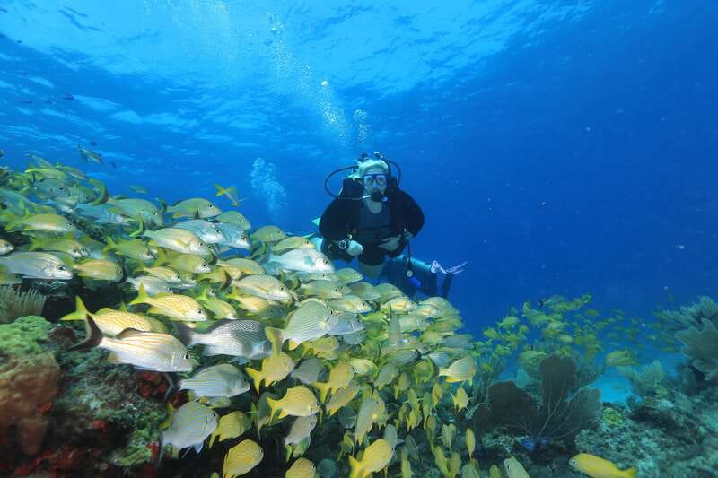 Cancun: Scuba Diving for Beginners, 2 Dives - Pool lesson essentials: the confidence step you can’t skip