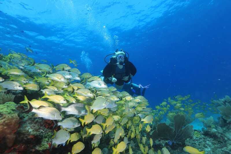 Cancun: Scuba Diving for Beginners, 2 Dives - Price and value: what you pay $167 for, plus the extra entrance fee