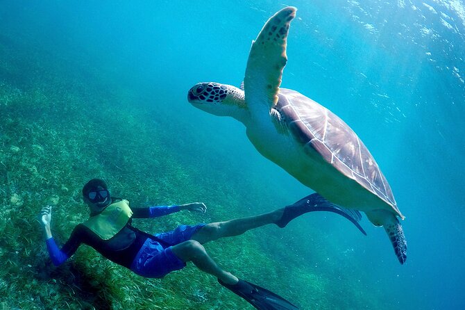 Cancun Snorkeling Adventure: Underwater Museum, Reef & Shipwreck - Group rhythm, guide style, and how photos fit in