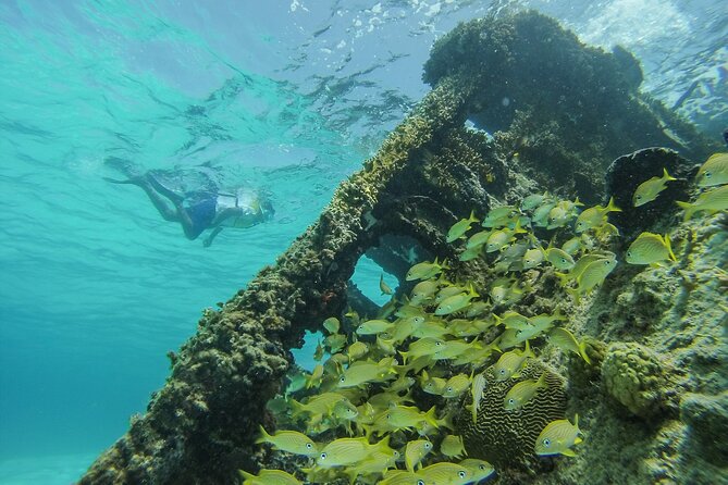 Cancun Snorkeling Adventure: Underwater Museum, Reef & Shipwreck - Price and value: what $79 really buys, plus the $20 day-fee