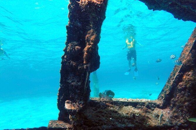 Cancun Snorkeling Adventure: Underwater Museum, Reef & Shipwreck - Who this Cancun snorkeling trip suits best