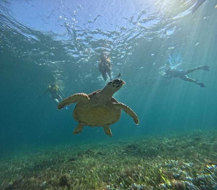 Cancun: Snorkeling Boat Tour with Gear - Shipwreck on Thin White Sand: Coral Clocks and Fish Busy Zones