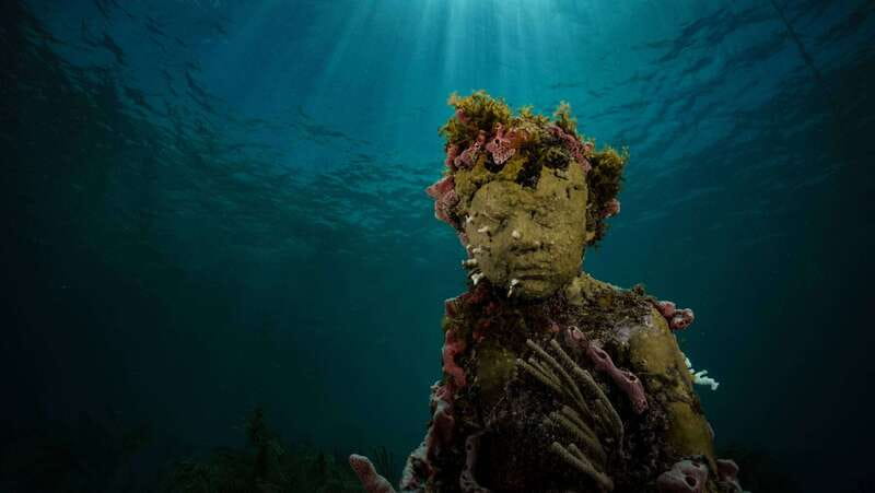 Cancun: Snorkeling Tour at MUSA The Underwater Museum - Key things I’d mark on your mental map