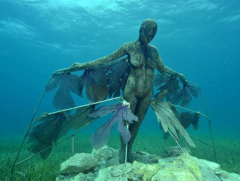 Cancun: Snorkeling Tour at MUSA The Underwater Museum - Should You Book This MUSA Snorkeling Tour?