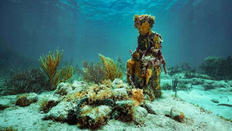 Cancun: Snorkeling Tour at MUSA The Underwater Museum - First Snorkel at the Cancun Underwater Museum of Art: Make the Most of Your 45 Minutes