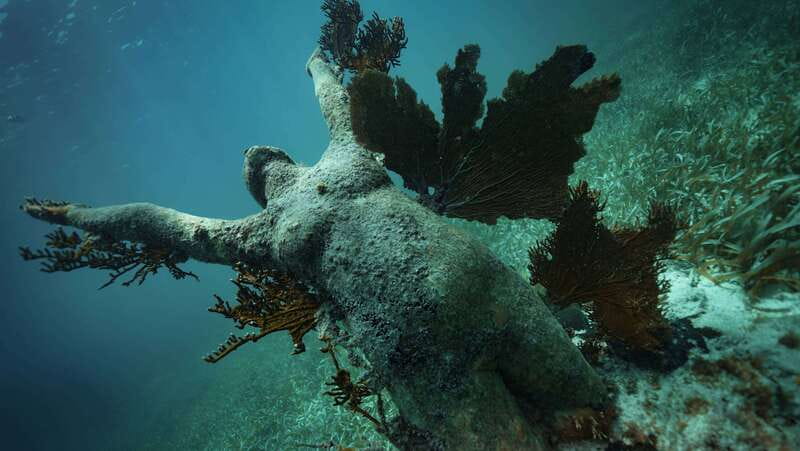Cancun: Snorkeling Tour at MUSA The Underwater Museum - Gear, Safety, and the Sunscreen Rule: Why It Can Affect Your Comfort