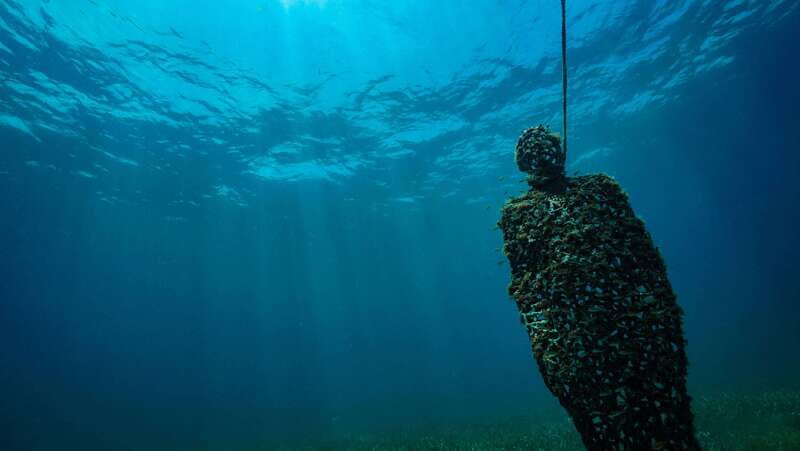 Cancun: Snorkeling Tour at MUSA The Underwater Museum - Price and Value: How the $58 Works With the $20 Dock Fee