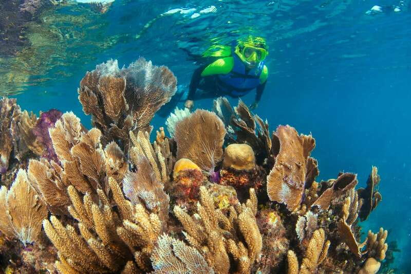 Cancun: Snorkeling Tour at MUSA The Underwater Museum - Practical Packing List and On-the-Day Tips (No-Sunscreen Edition)