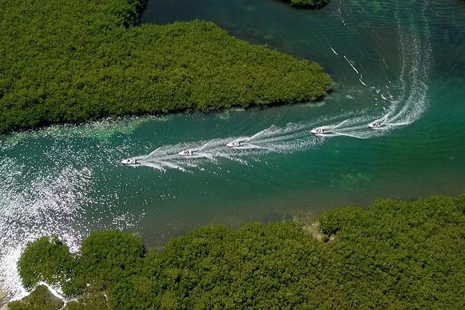 Cancun speedboat and snorkel tour: shared speedboat - Punta Nizuc snorkeling: underwater statues and reef life without guessing