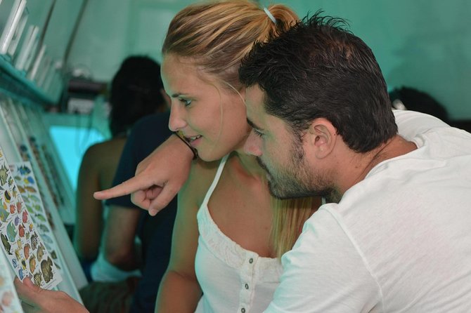 Cancun Submarine and Optional Snorkeling Tour - Should You Book This Cancun Submarine Tour?
