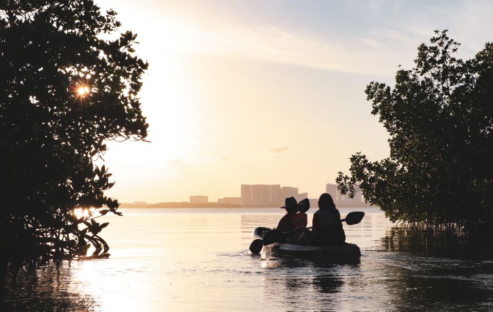 Cancun: Sunset Kayak Experience in the Mangroves - What “wildlife chances” really means here