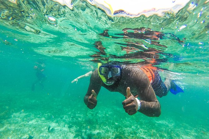 Catamaran Group Sightseeing, Snorkeling Tour Isla Mujeres - Open Bar Sailing Hours: Great Fun, but Mind the Snorkel Timeline