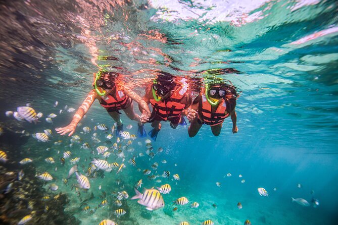 CATAMARAN to Isla Mujeres, Snorkel & Beach Club by Xcaret - Price and Value: $74.66 isn’t the whole cost