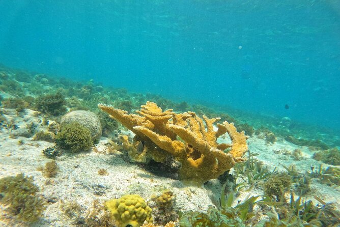 Catamaran with Snorkeling and North Beach, Isla Mujeres - Logistics That Make or Break Your Day