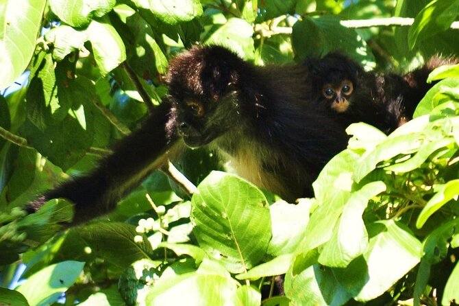 Cenote La Noria Tour + Jewelry Shopping Tour + Tequilera - The practical stuff for cenote comfort (no guessing needed)
