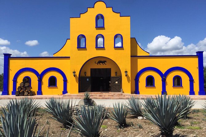 Cenote La Noria Tour + Jewelry Shopping Tour + Tequilera - Who should book (and who should skip)