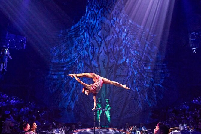 Cirque du Soleil JOYÀ Admission Tickets - Timing that actually matters: dinner starts before show time