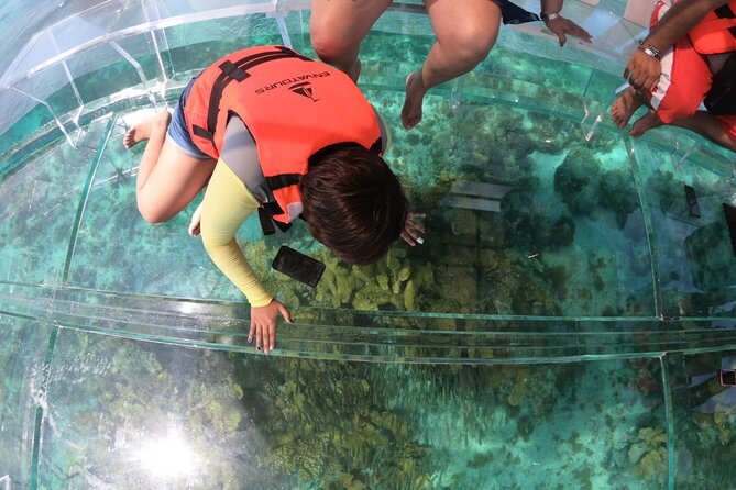 Clearboat in Cancun + Refreshments !! - Caribbean Sea Hours: Marine Life Viewing From a Clear Hull