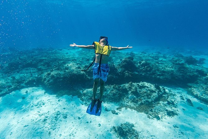 Cozumel Catamaran Snorkeling Tour & Lunch (Hotel Pick Up) - From Cancun to Cozumel: the ferry ride that sets the pace