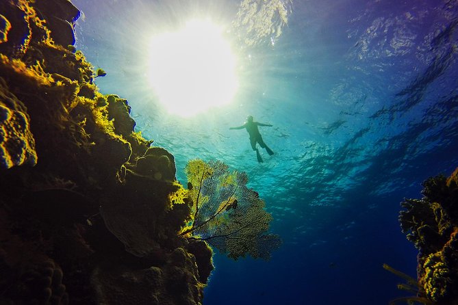 Cozumel Catamaran Snorkeling Tour & Lunch (Hotel Pick Up) - What the cruise and snorkeling day feels like in motion