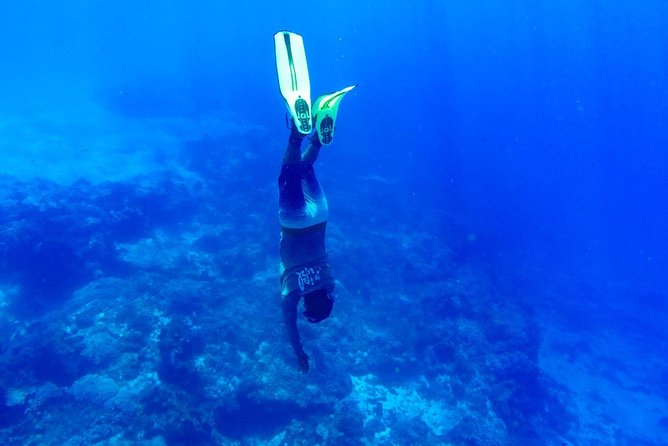 Cozumel Catamaran Snorkeling Tour & Lunch (Hotel Pick Up) - Price and value: is $163 a good deal?