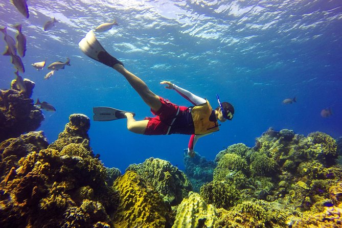 Cozumel Catamaran Snorkeling Tour & Lunch (Hotel Pick Up) - Packing and rules that can make or break your day