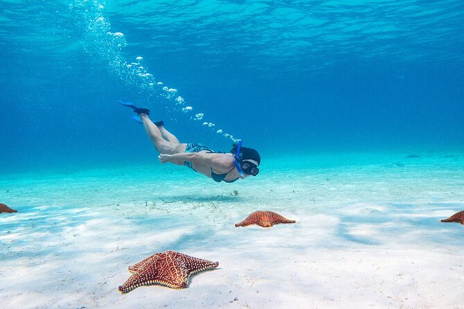 Cozumel Starfish and Tropical Reef Snorkeling by Powerboat with Lunch - Price and value: the $139 ticket and what costs extra
