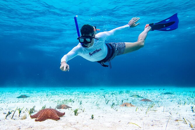 Cozumel Starfish and Tropical Reef Snorkeling by Powerboat with Lunch - Who should book Cozumel Starfish and Tropical Reef Snorkeling