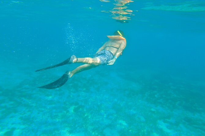Dancer Cruise Isla Mujeres Snorkel Food and Drinks Included - Stop 1: Dancer Cruise Cancun Check-In and Boarding Flow
