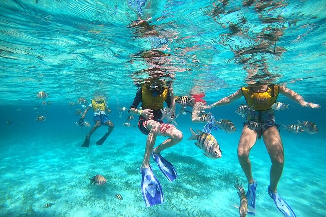 Deluxe Catamaran to Isla Mujeres with Open Bar from Cancun - Beach Club Lunch and the Setup for Island Time