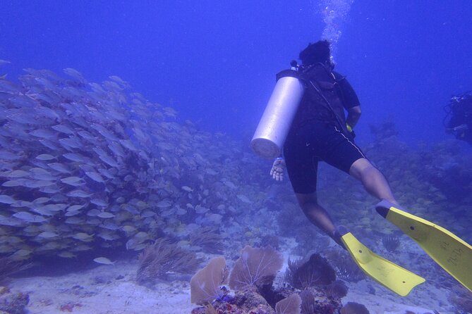 Discover Scuba - Puerto Morelos reef time, tuned for beginners