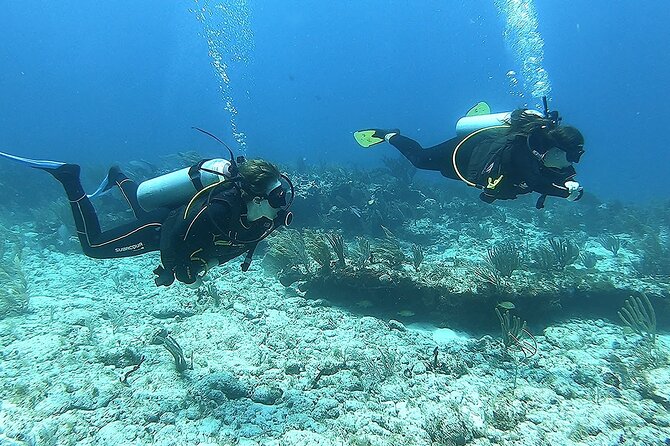 Discover Scuba - Full gear included, plus a wetsuit you don’t have to buy