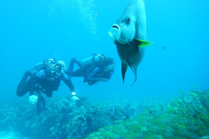 Discover Scuba - Stop 1: National Reef Park of Puerto Morelos (shallow reef, side by side)