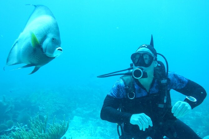 Discover Scuba - Stop 2: Wet Set’s coaching culture and the instructor names to watch for
