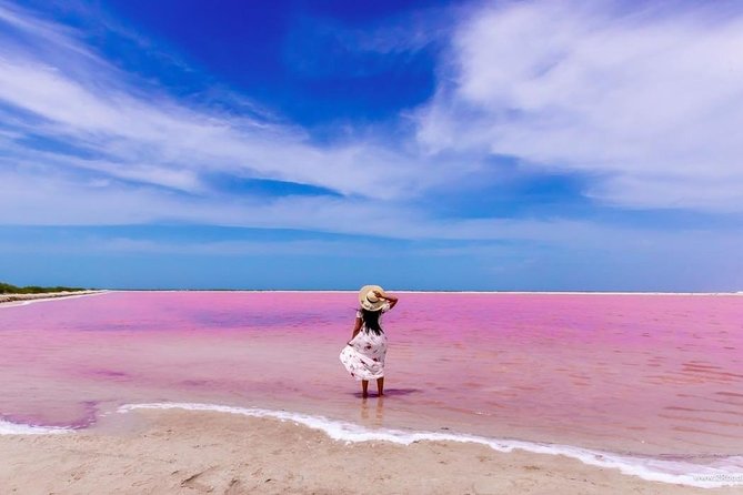 Discover the FABULOUS PINK WATERS at the Caribean (Las Coloradas+Río Lagartos) - The included clay scrub: a small thing that makes it feel real