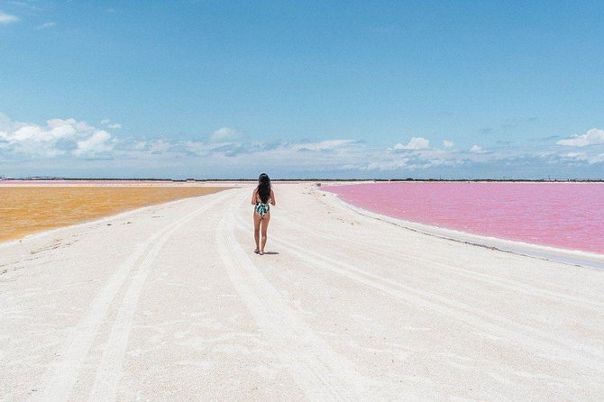 Discover the FABULOUS PINK WATERS at the Caribean (Las Coloradas+Río Lagartos) - Crocodile farm stop: thrilling for some, hard for others