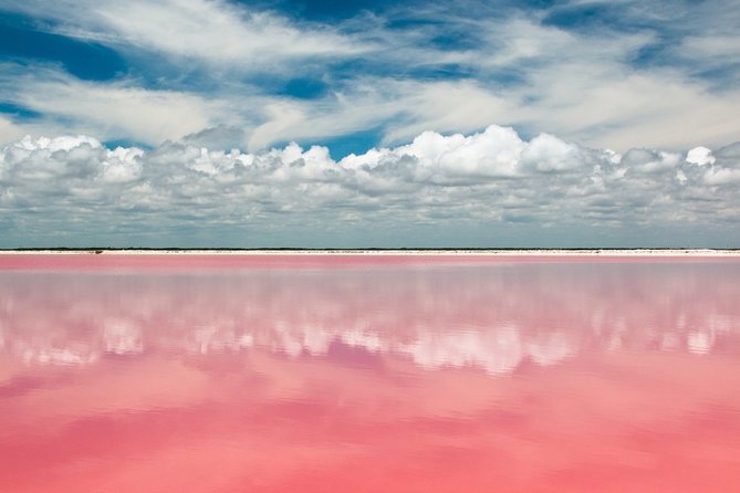 Discover the FABULOUS PINK WATERS in the Caribean - The Ride That Makes or Breaks the Day: Pickup, traffic, and the reality check