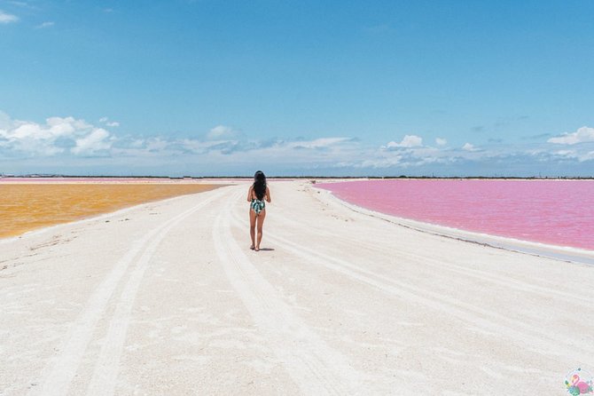 Discover the FABULOUS PINK WATERS in the Caribean - Price and value: Is $125 worth it for Las Coloradas + Rio Lagartos?