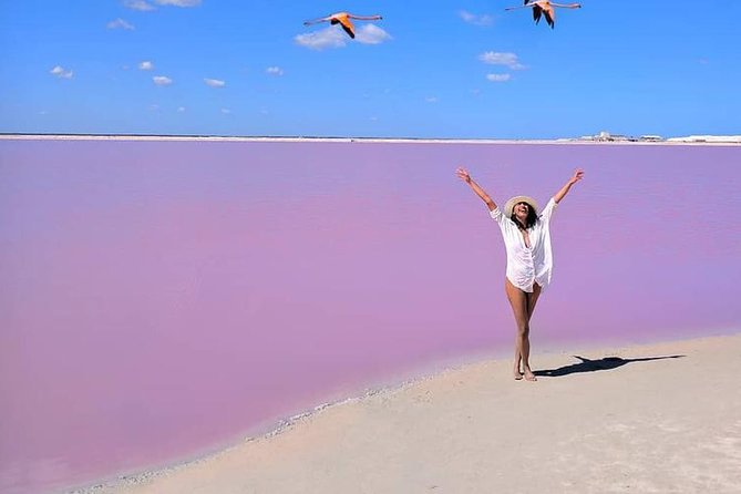 Discover the FABULOUS PINK WATERS in the Caribean - Rio Lagartos by Boat: Mangroves, flamingos, and crocodiles where they belong
