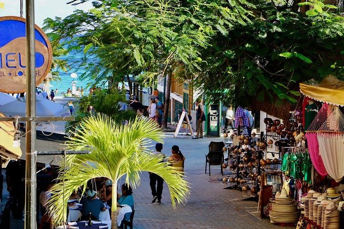 Discover Tulum, Visit Coba And Swim In A Real Mayan Cenote and Playa del carmen - Price and Value: Why $119 Makes Sense for Some People